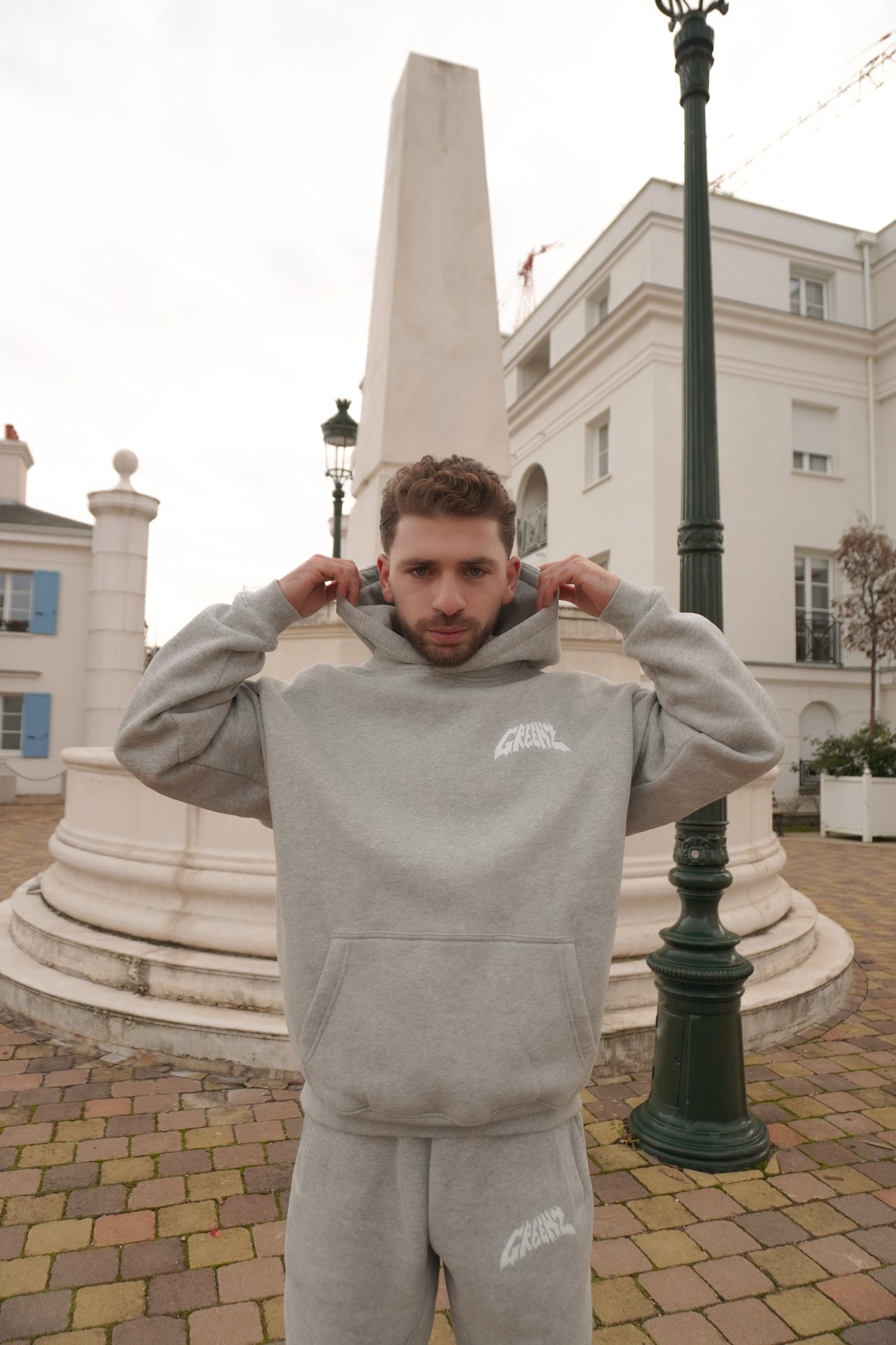 HOODIE GREENZ GRIS